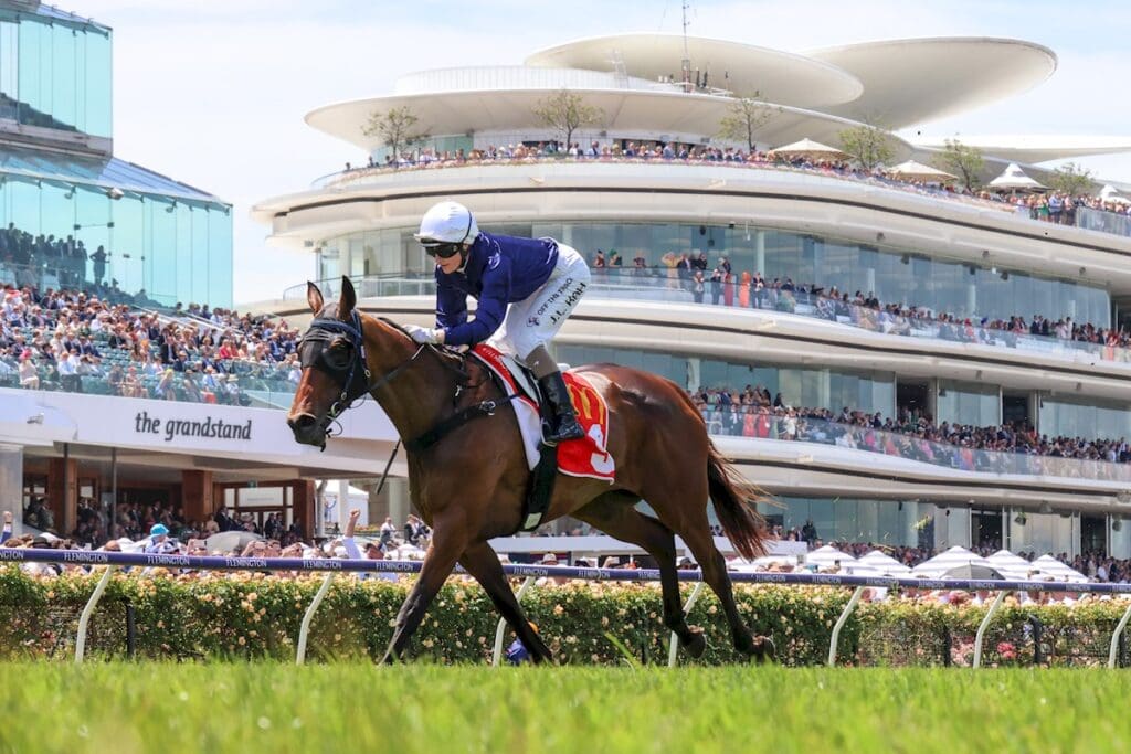 Can The Map win the 2024 Melbourne Cup? BOAY Racing News Bit Of A Yarn