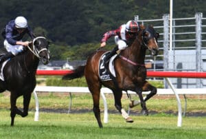 Times Ticking chasing Group 3 success at Wingatui