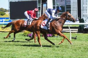 Vagrant flashes home to claim Geoffrey Bellmaine Stakes