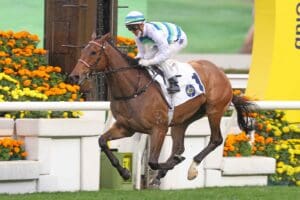 Zac Purton to reunite with Voyage Bubble in Hong Kong Gold Cup