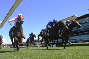 Erno's Cube Wins Reisling Stakes At Randwick