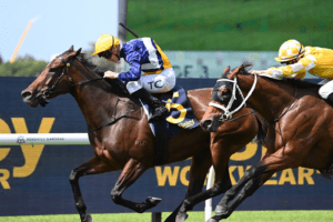 Osmose proves best of the girls in the Epona Stakes