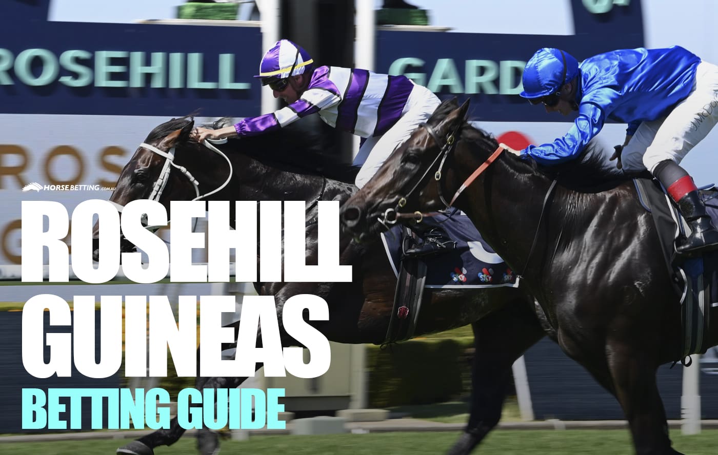 Rosehill Guineas 2025 Betting Guide Race Info Field Odds