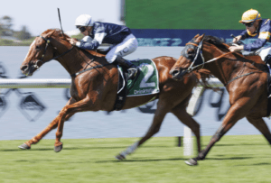 Serpentine gets off the canvas to claim Neville Selwood Stakes
