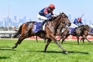 Tobeornottobe proves too classy in Thoroughbred Breeders Stakes
