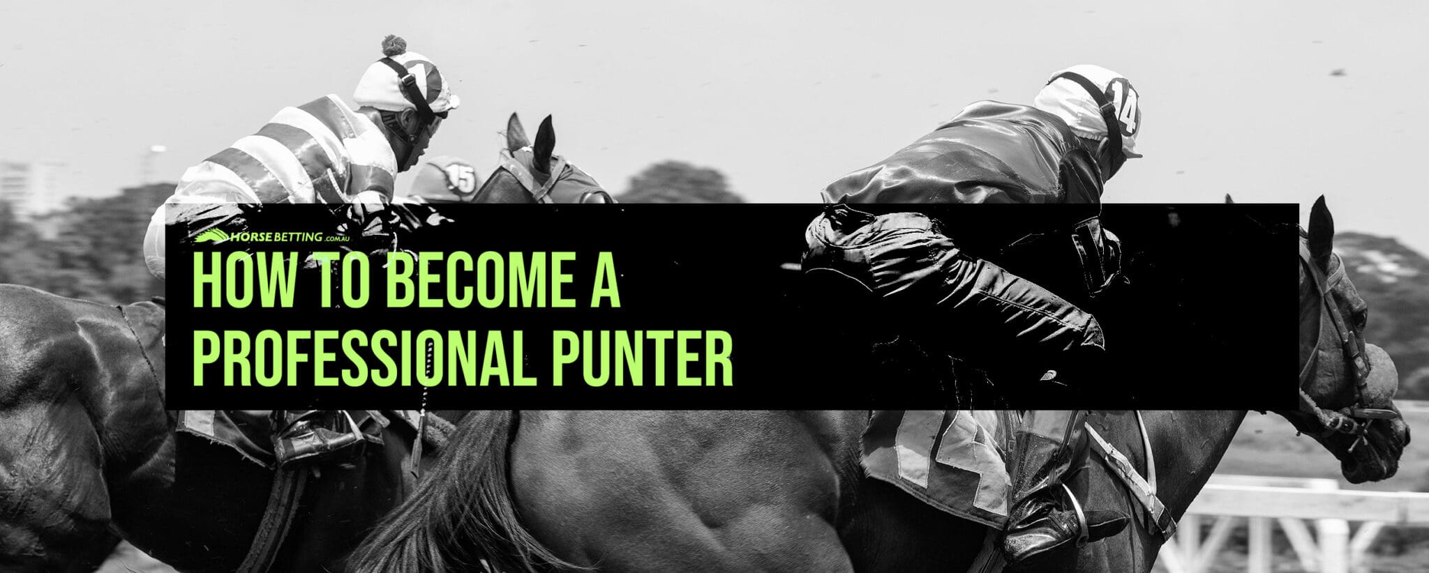 How to become a professional punter