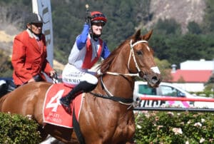 Our Echo looking to go back-to-back at Trentham