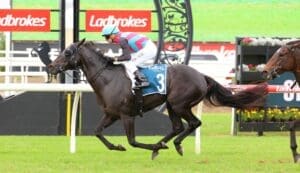 Antino makes brilliant return in Victory Stakes