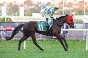 Boognish gets her head down in Group 3 Proud Miss Stakes