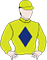 Dashing Duchess Silks