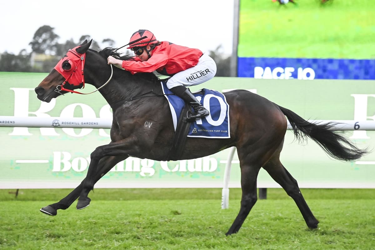 Kiltannon Stables Claim Offshore Double At Rosehill & Sha Tin