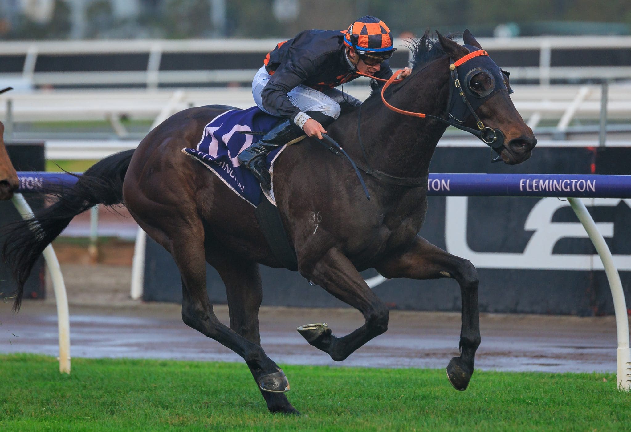 Flemington Specialist Horrifying Produces Shock Result