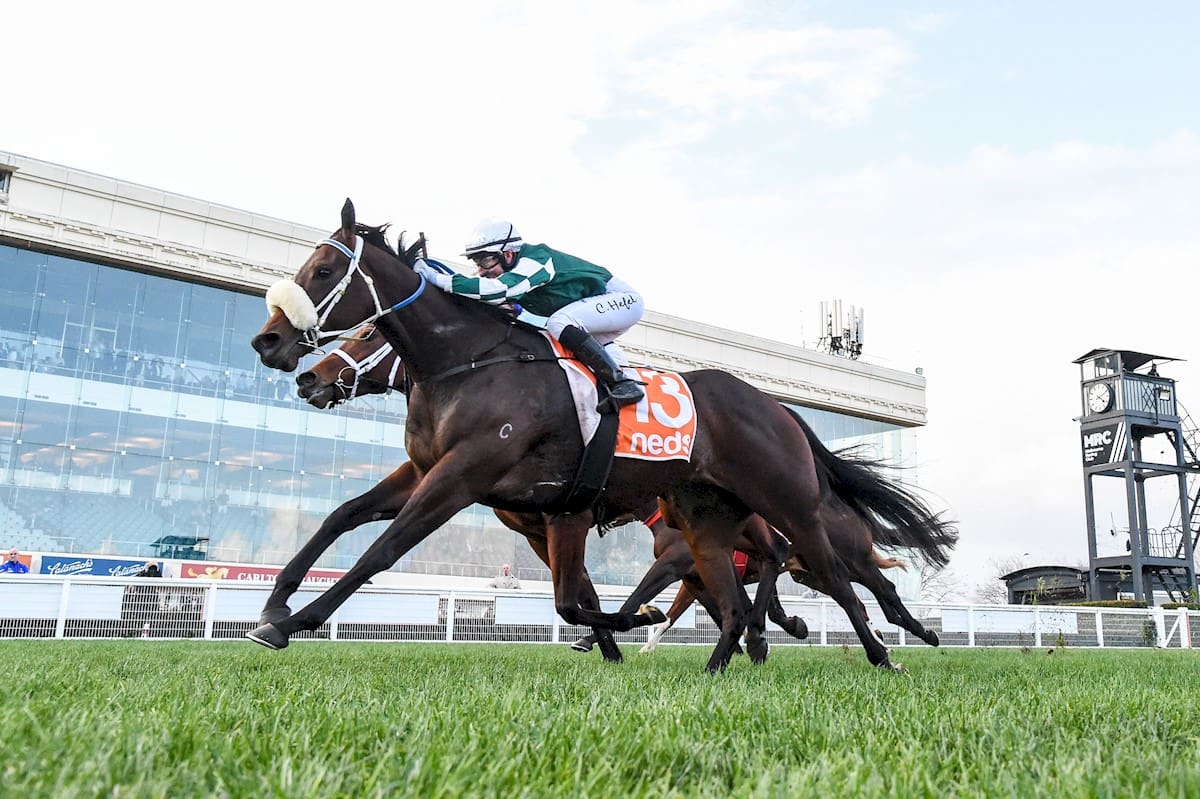 Sir John Monash Stakes Betting 2025 | Fields | News | Odds