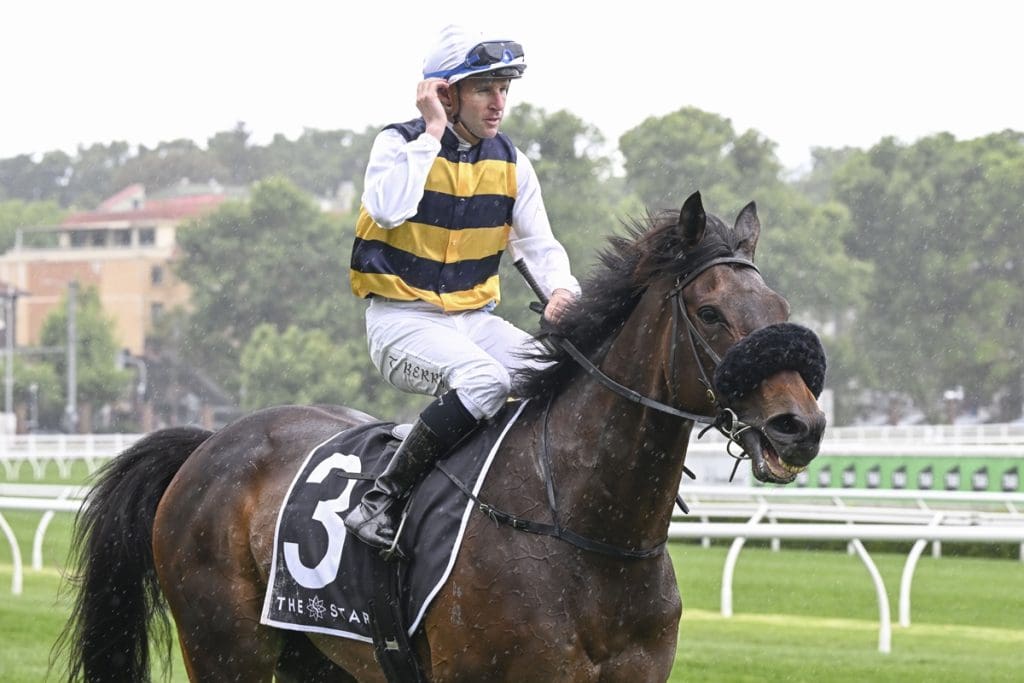 Can Athabascan win the 2024 Melbourne Cup? BOAY Racing News Bit Of