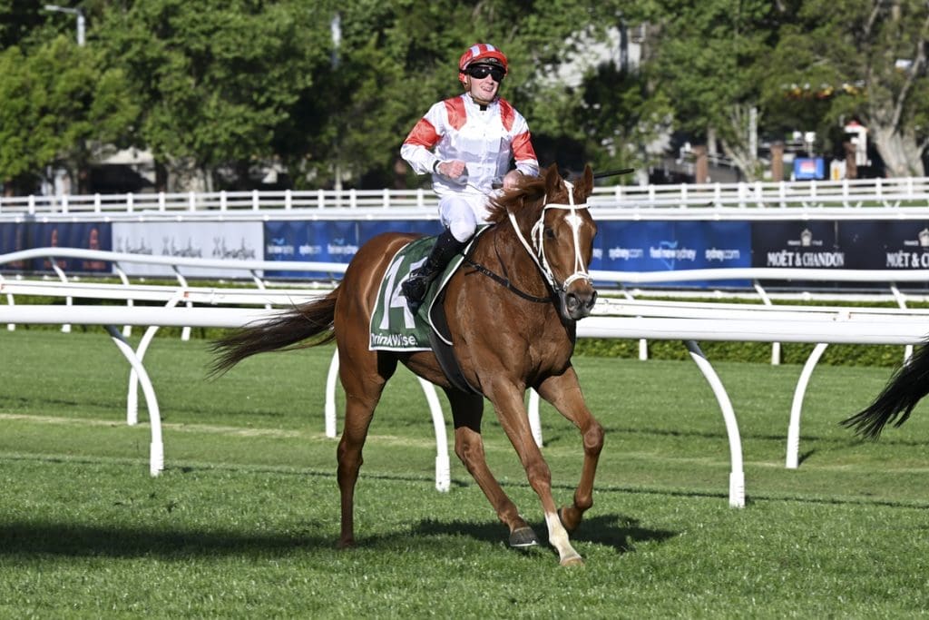 Can Land Legend win the 2024 Melbourne Cup? BOAY Racing News Bit Of