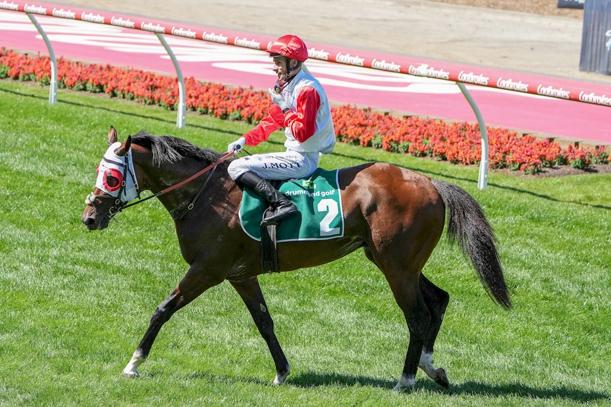 Red Aces Claims Strong Victory In Group 2 Moonee Valley Vase