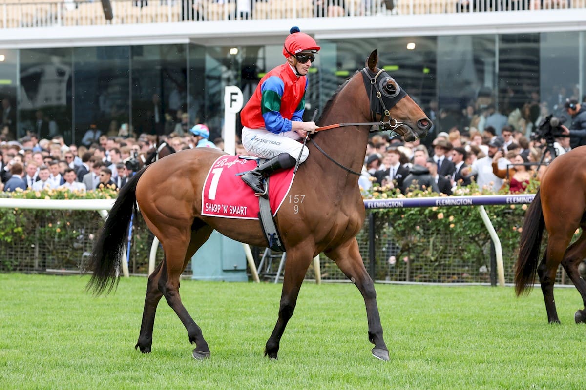 Can Sharp 'N' Smart Win The 2024 Melbourne Cup? Form Odds