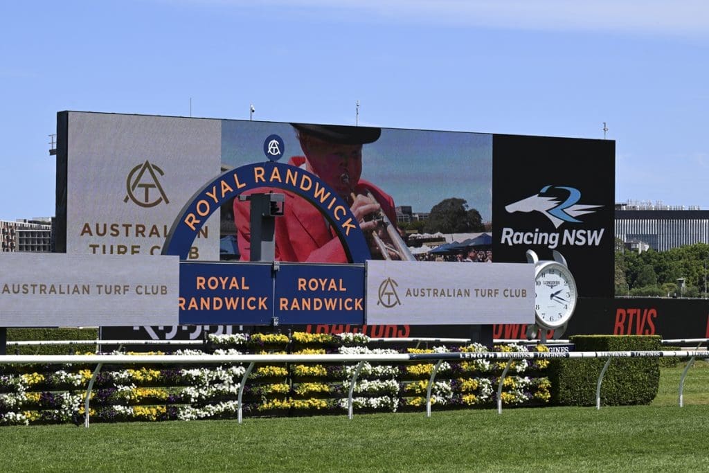 Big Dance Day 2024 Free Randwick race replays & results BOAY Racing