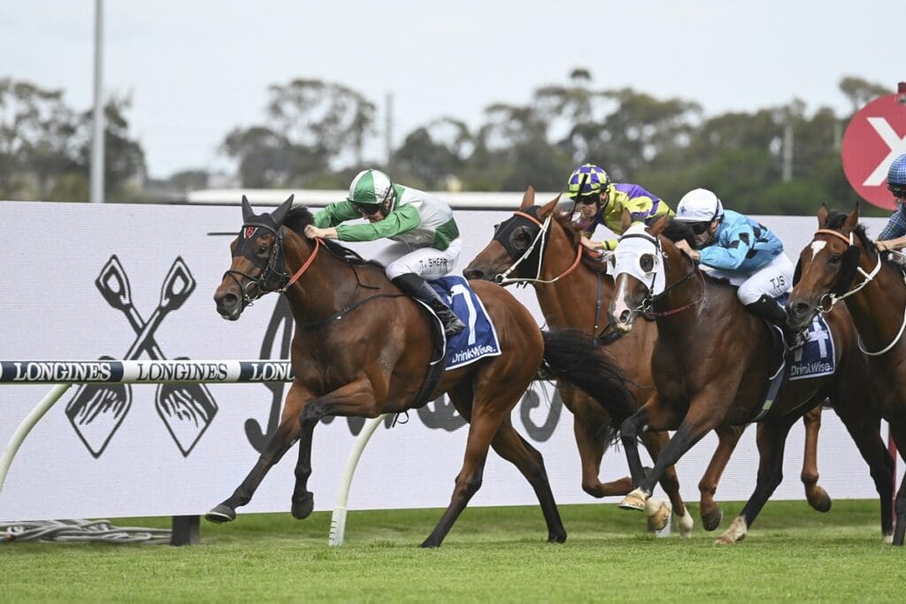 Rosehill Races Free Replays & Results Festival Stakes Day 2024