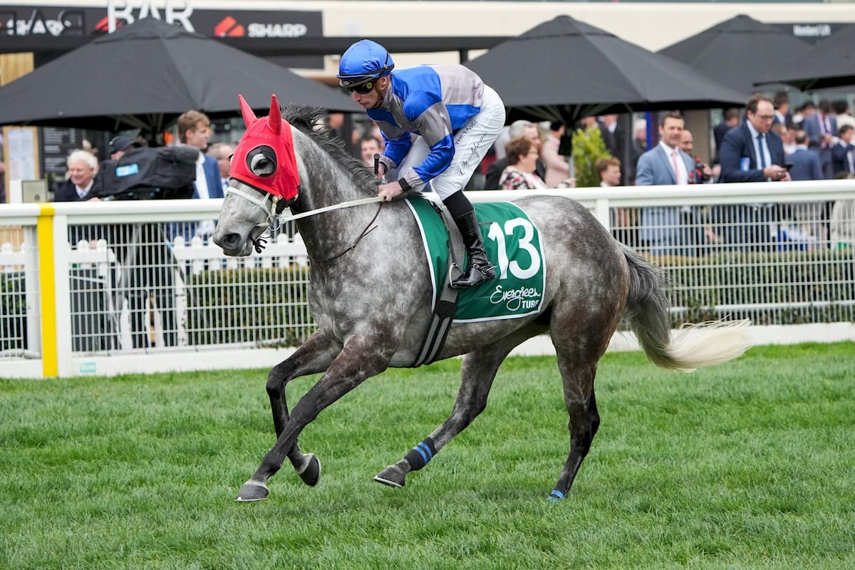 Racing Victoria Confirms Lignocaine Found In Gentian Blue Sample