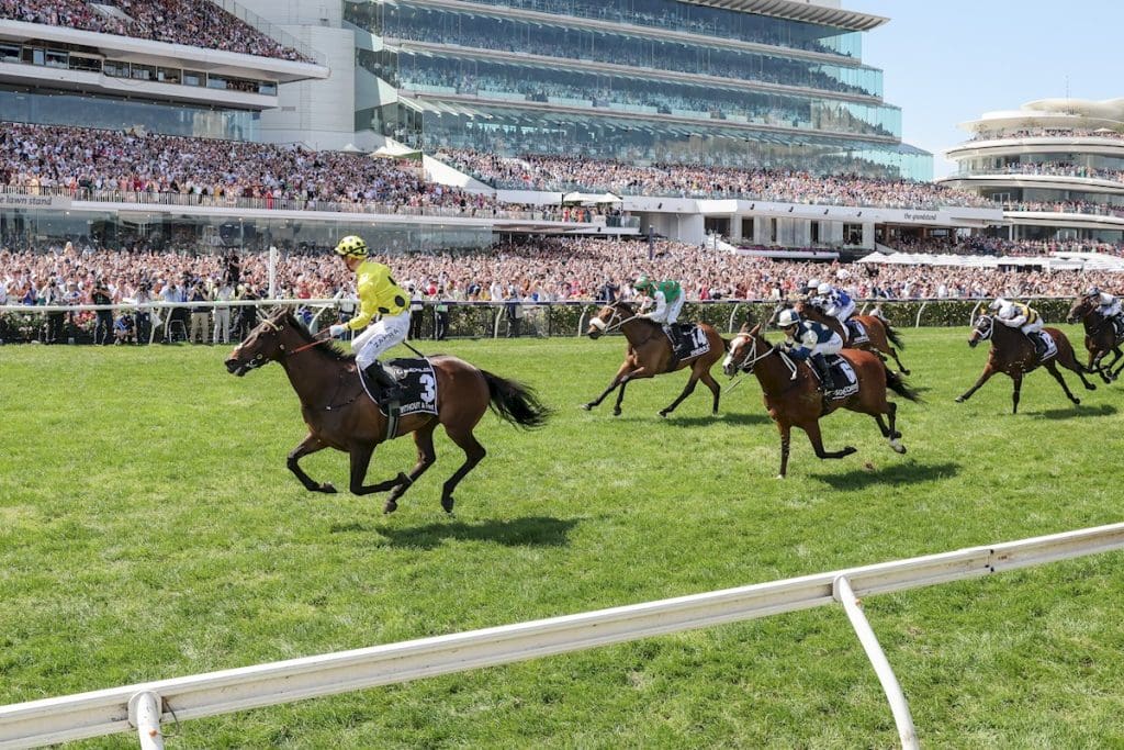 Melbourne Cup 2025 Dividends Date