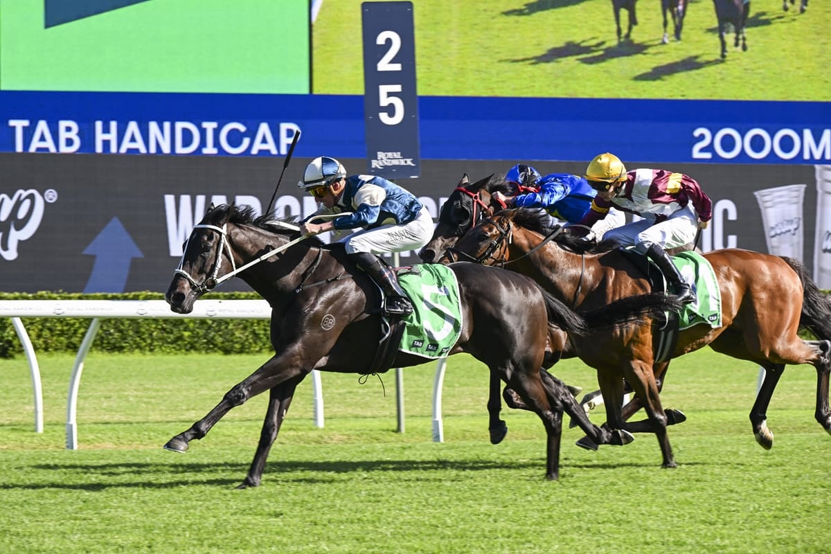 Saltcoats Produces Stylish Victory At Royal Randwick