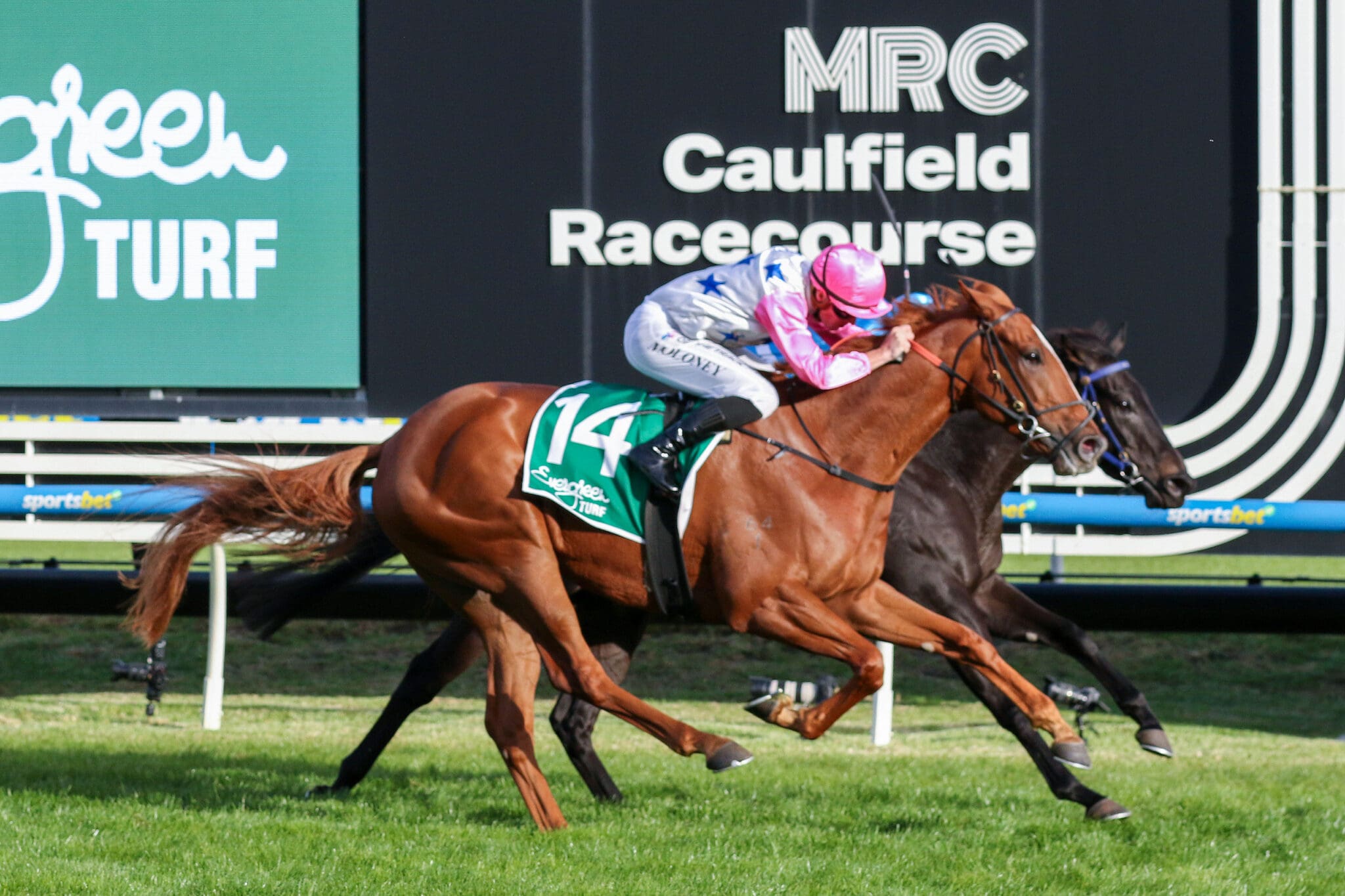 Cliff Brown's Rogan Digs Deep To Causes $31 Upset At Caulfield